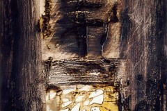 tec-mista-su-cartoncino-cm50x35-2001