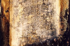 tecnica-mista-su-cartoncino-cm50x35-2001