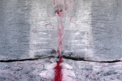 Quasi-Svelato-cm.-150x125-2017