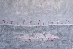 Quasi-Svelato-cm.150x125-2017