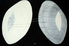 1_Raffaele-Boemio-semiosi-acrilico-su-cartone-cm.70x50-2025