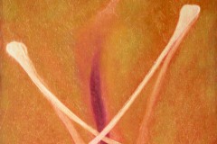 olio-su-tela-cm104x74-1998