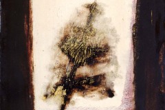 tec-mista-su-carta-cm35x25-2001