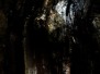 2012 - 2014 De-natura 