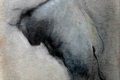 pastelli-su-carta-cm50x35-2007