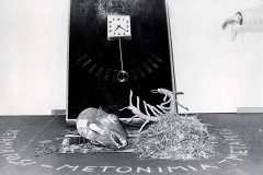 gruppo-x-arte-metamorfosi-metonimia-metafora-1980-1