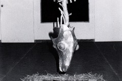 gruppo-x-arte-metamorfosi-metonimia-metafora-1980-2