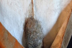 particolare-2