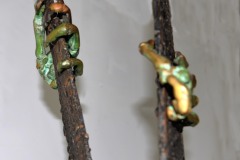 11-DSC_0385