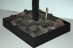 3-particolare,germinazione.