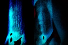 elaborazione-digitale-2009-39