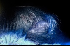 elaborazione-digitale-2009-18