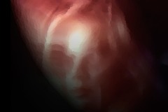 elaborazione-digitale-2009-7