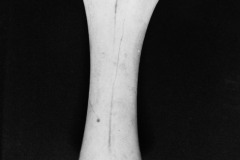 ossa-tre-1